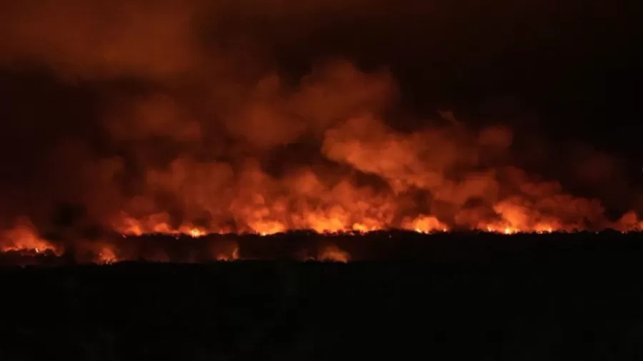 INCÊNDIO NO PANTANAL É UM DOS PIORES DA&nbsp;HISTÓRIA