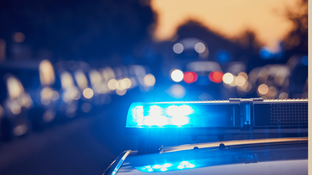 POLÍCIA CIVIL IDENTIFICA AUTOR DE FURTO EM LOJA NA RUA FÉLIX FAGUNDES EM&nbsp;AVARÉ