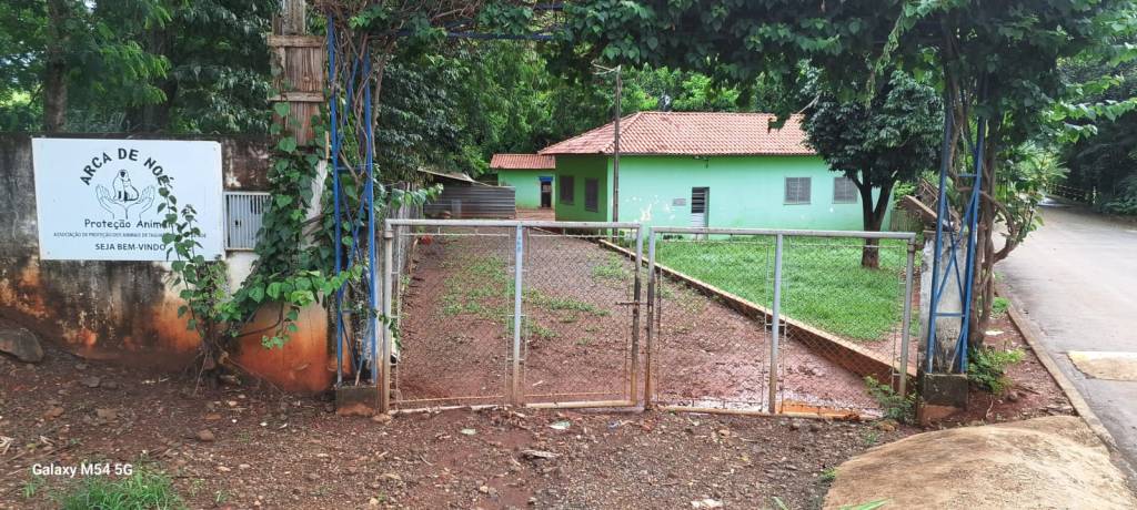 BAZAR DA ONG ARCA DE NOÉ ACONTECE NESSE&nbsp;SÁBADO